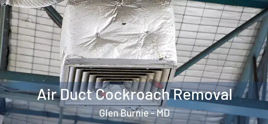  Air Duct Cockroach Removal Glen Burnie - MD