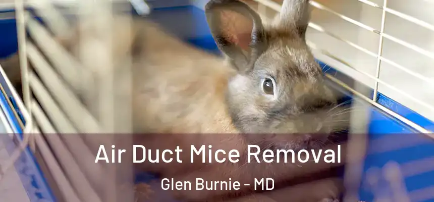  Air Duct Mice Removal Glen Burnie - MD