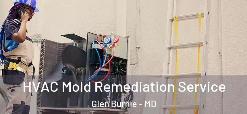  HVAC Mold Remediation Service Glen Burnie - MD