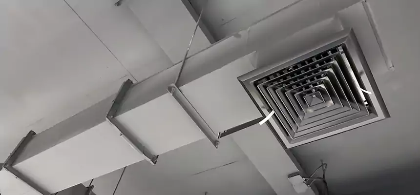 Our Rodent Droppings In Vents Services in Glen Burnie, MD