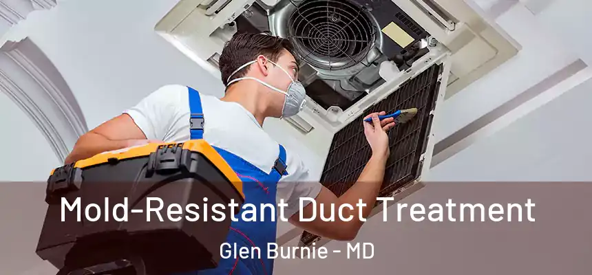  Mold-Resistant Duct Treatment Glen Burnie - MD