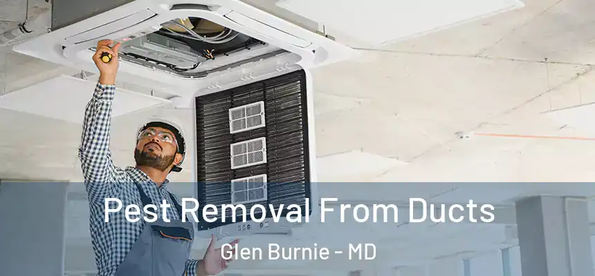  Pest Removal From Ducts Glen Burnie - MD