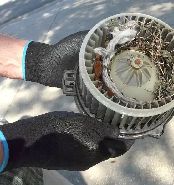 About Air Duct Rat Removal in Glen Burnie, MD