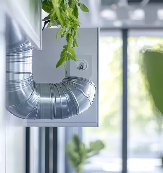 Professional Eco-Safe Dryer Vent Cleaning in Glen Burnie, MD