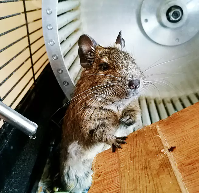 Why Homeowners & Businesses Trust Us Glen Burnie, MD?