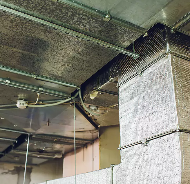 Why Homeowners & Businesses Trust Us in Glen Burnie, MD?